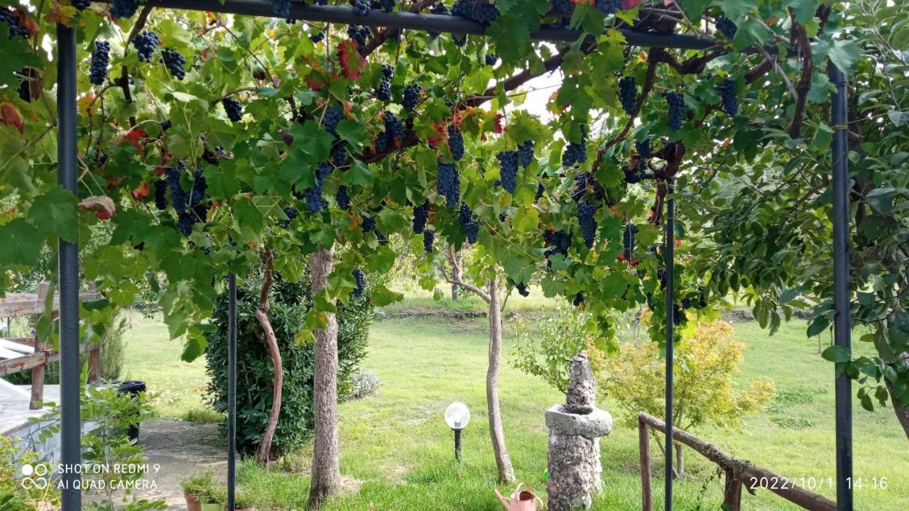 Maletto Etna, Salvia E Rosmarino 빌라 외부 사진