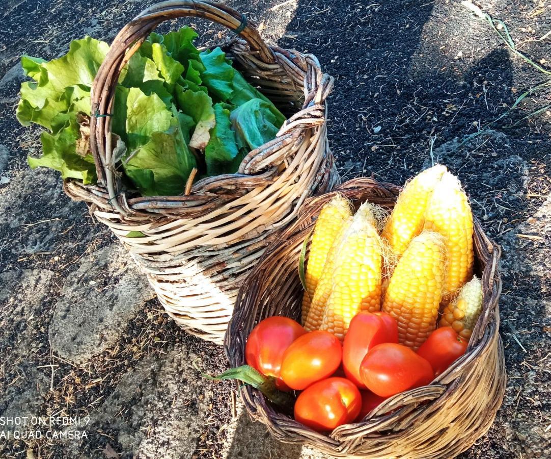 Maletto Etna, Salvia E Rosmarino 빌라 외부 사진